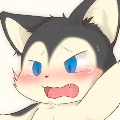ナモ犬