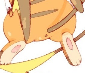 すかッチュ！