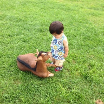 にゃんにゃん