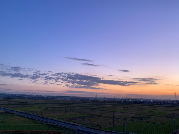 伶　|　Rei