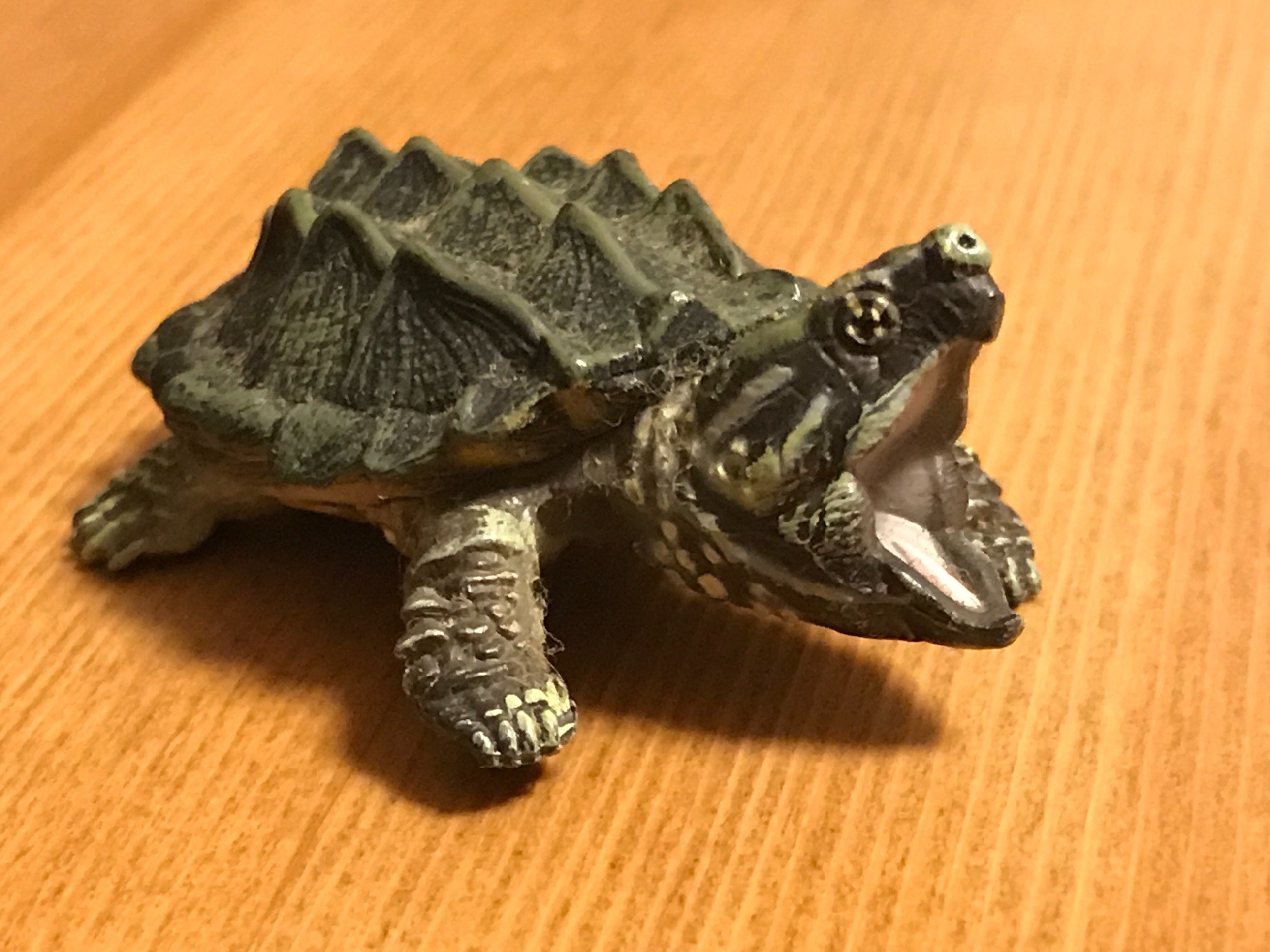 ヌーホール