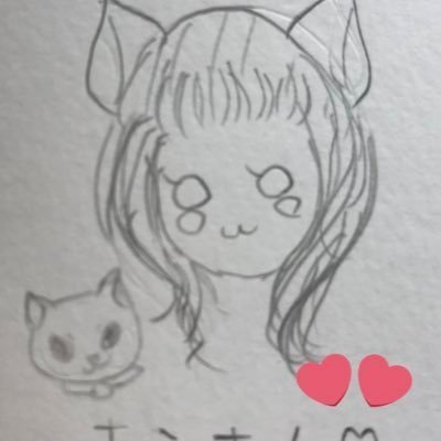 キミタロー🐱