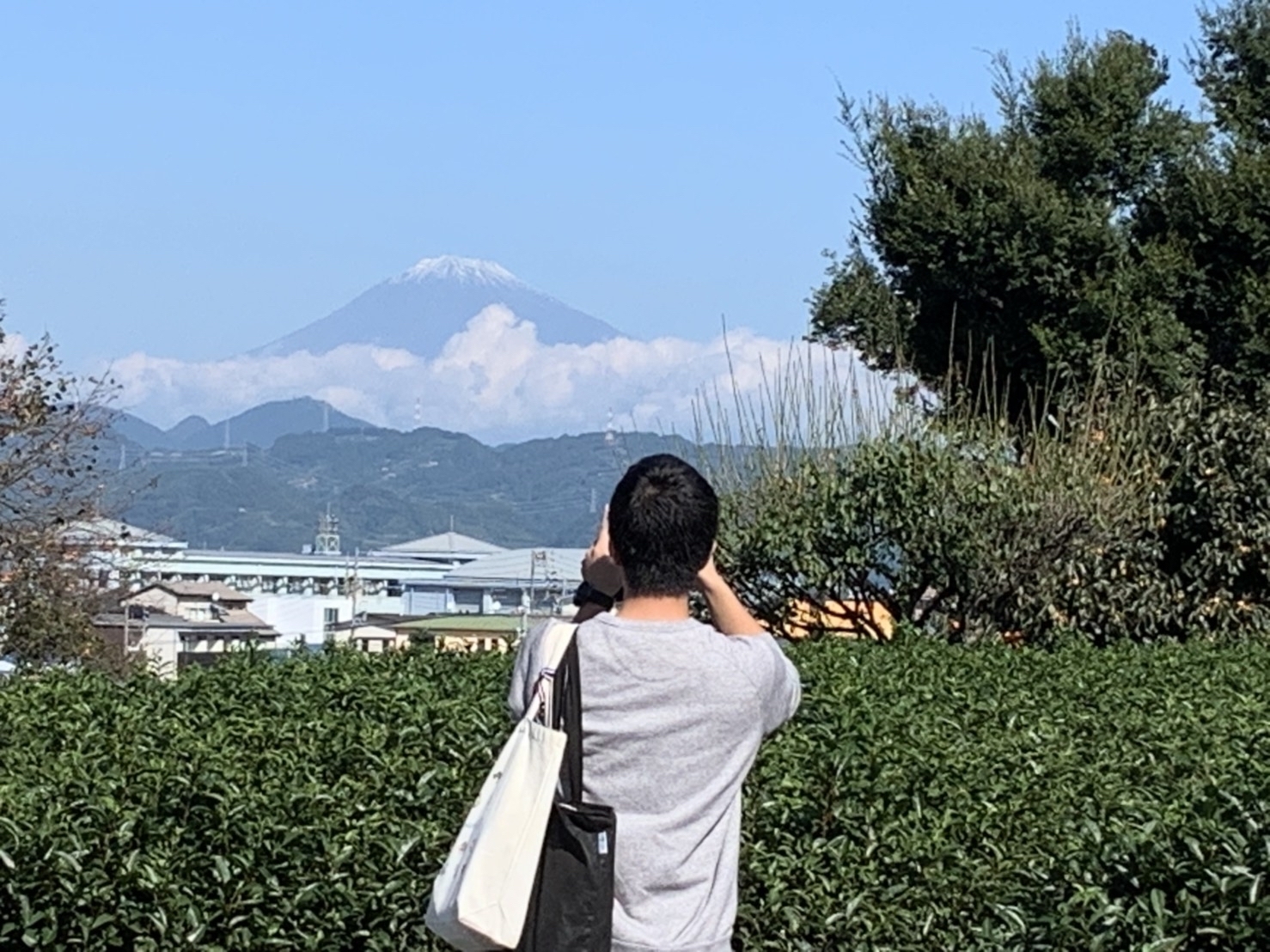 石