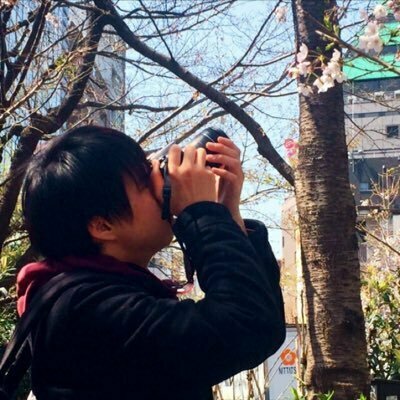 音博士
