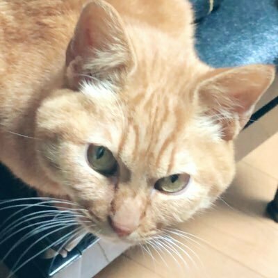 ふゆっこ