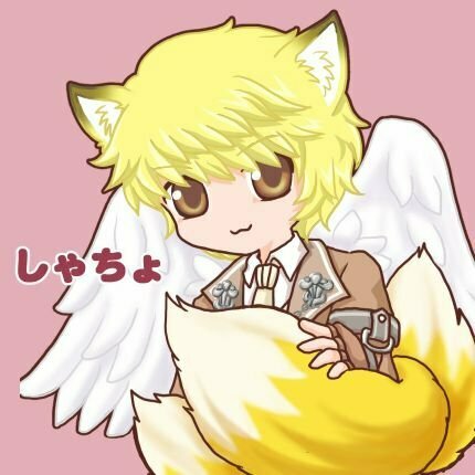 しゃちょ WARD