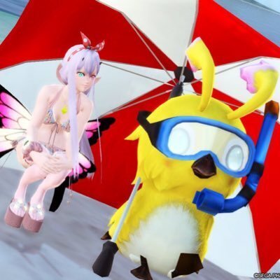 猫ごたつ(ラッピー)_ship7