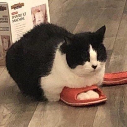 가망