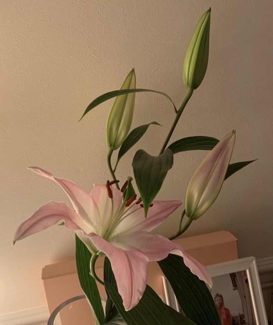 あ