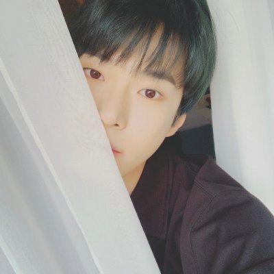 토끼별여행자