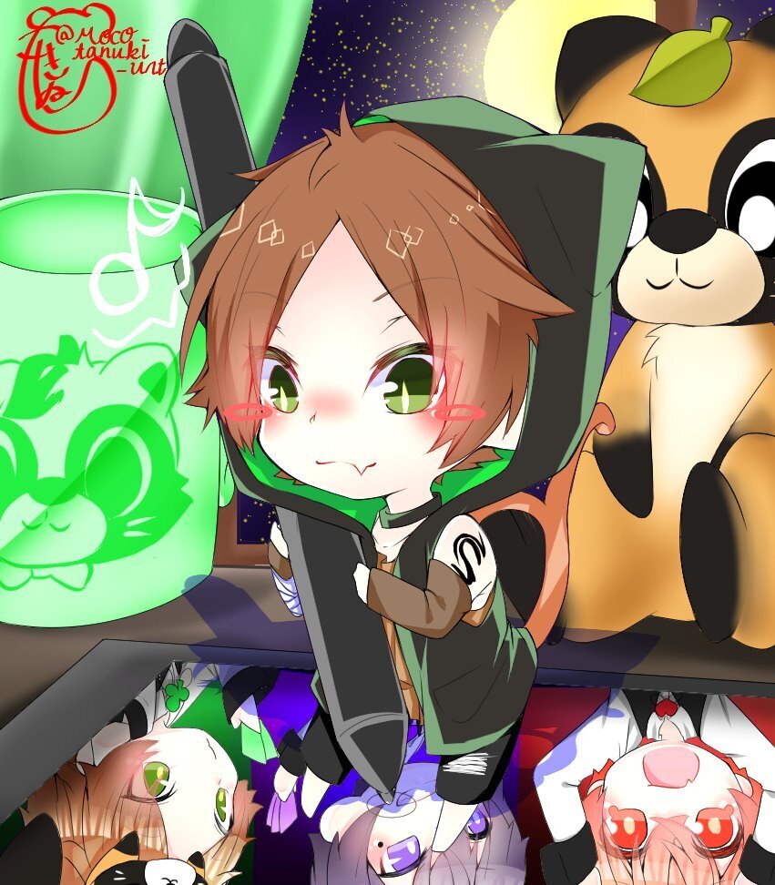 🍁🍃もこたぬき🌱🍁