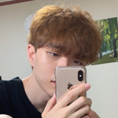 나무