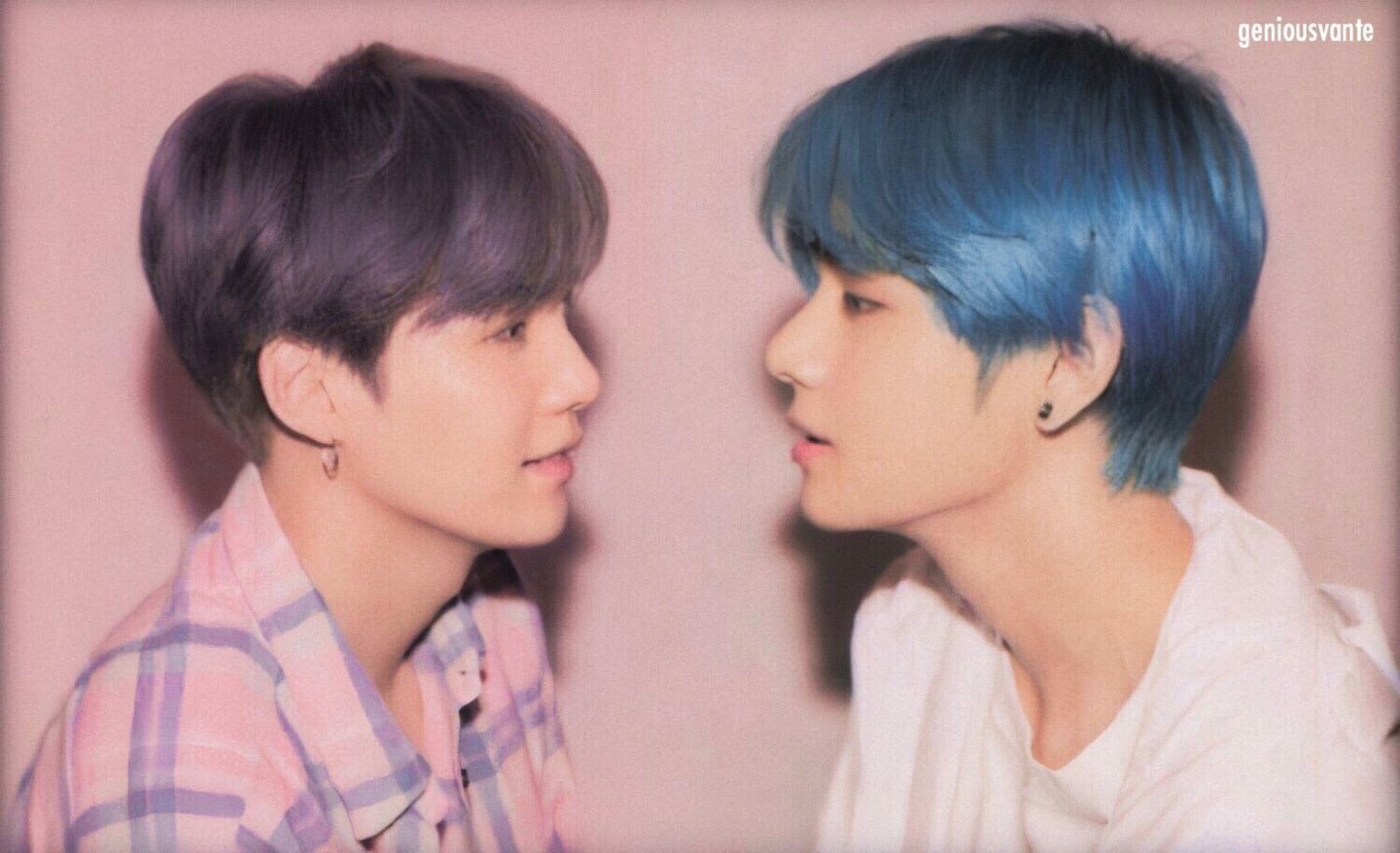 제제