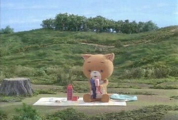 채셔