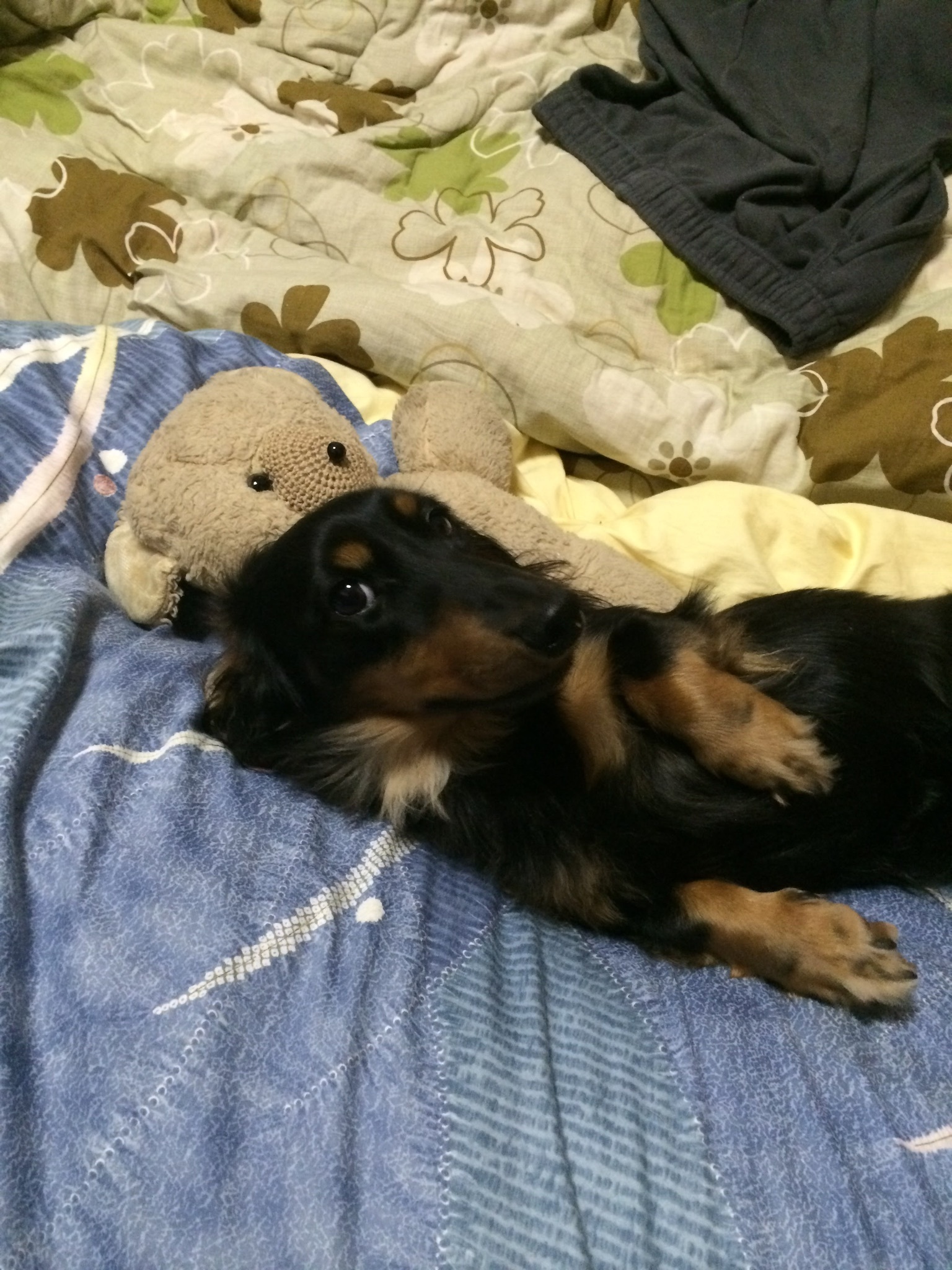 よしだ