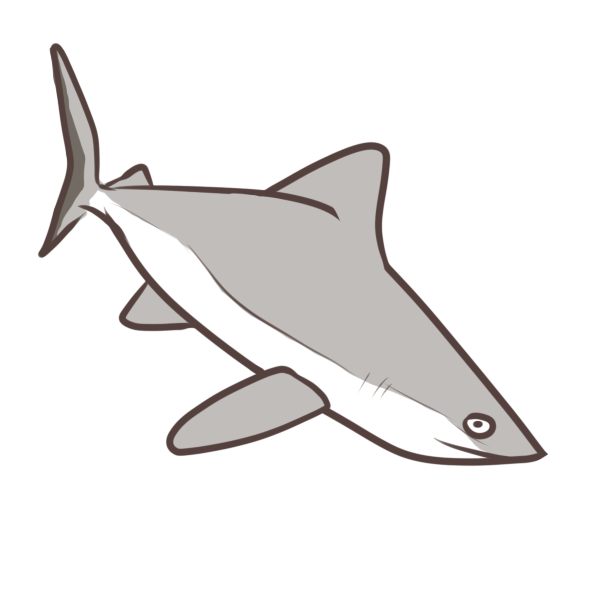 Requin@dotpict