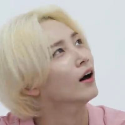 활동가