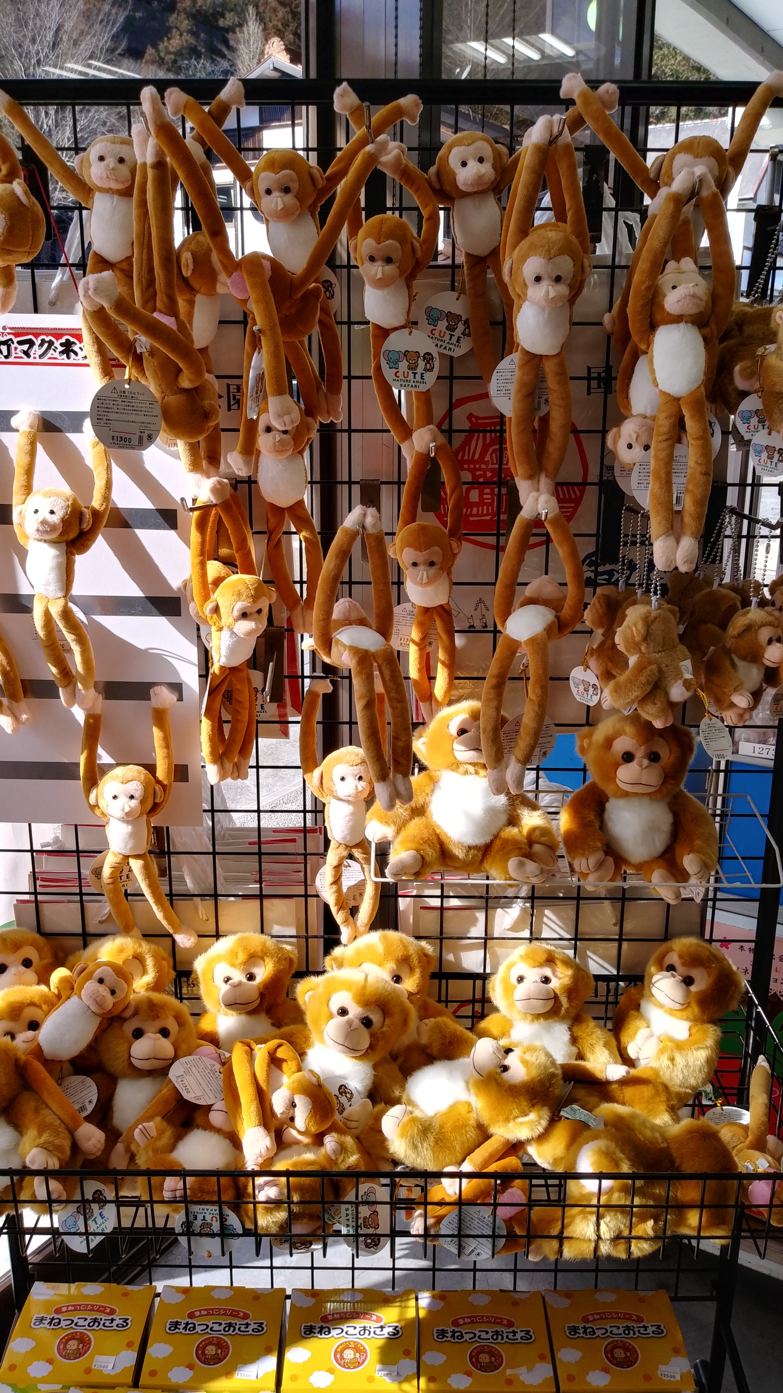 あ　い　た　！