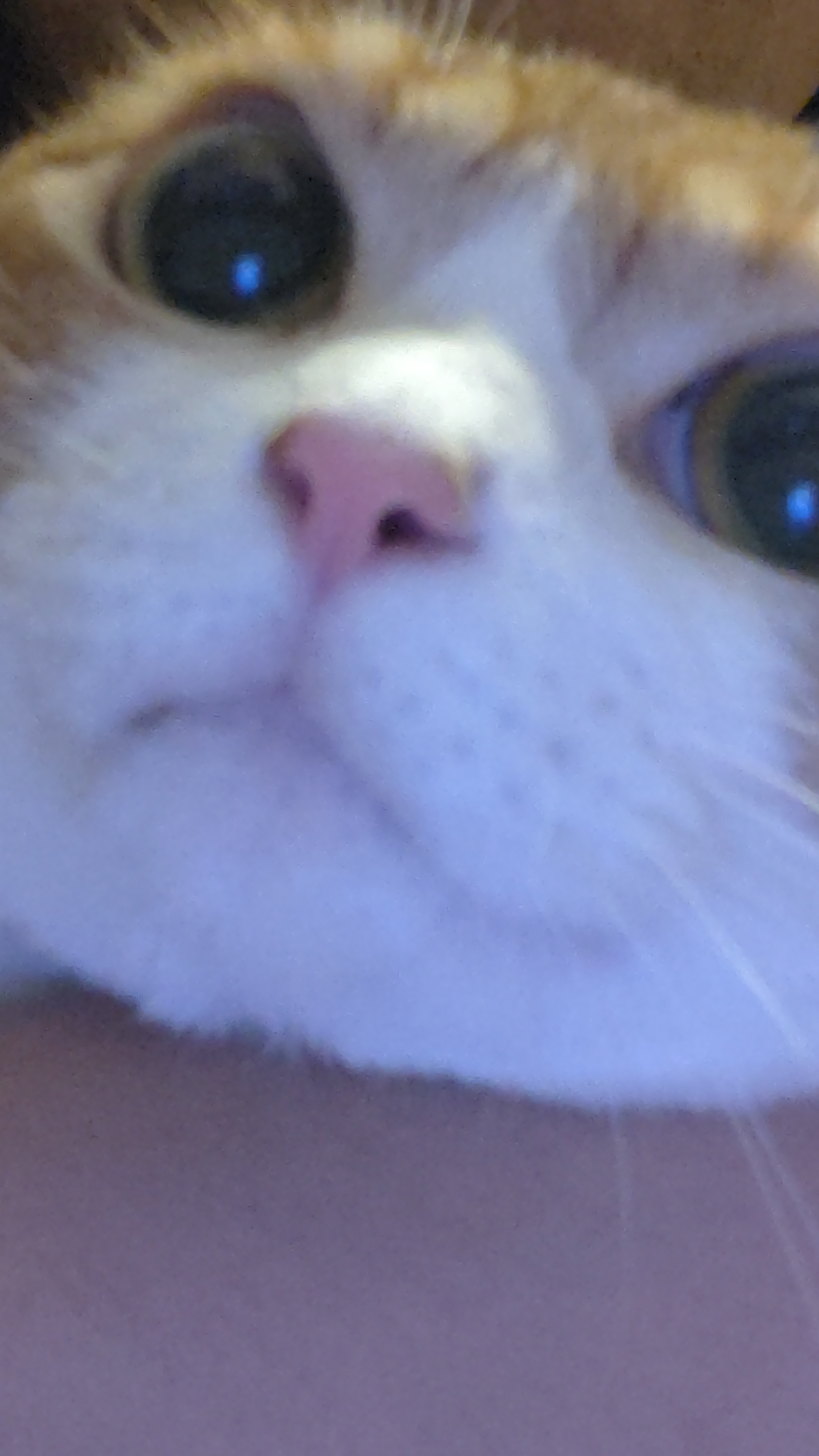 わたなべＥＸ