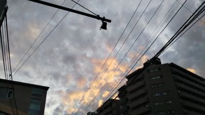 空白。