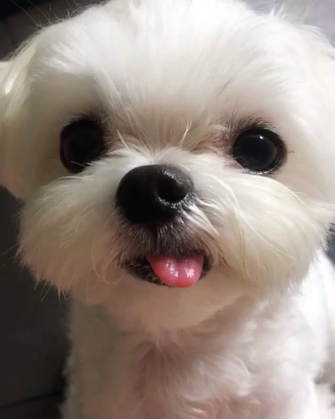 절미