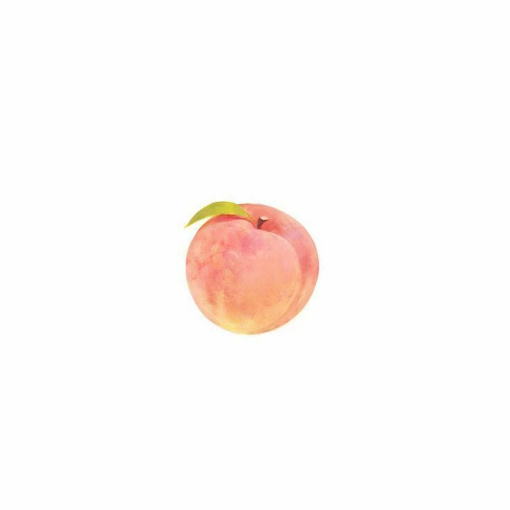 제3페스